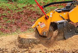 Best Lot and Land Clearing  in Salado, TX