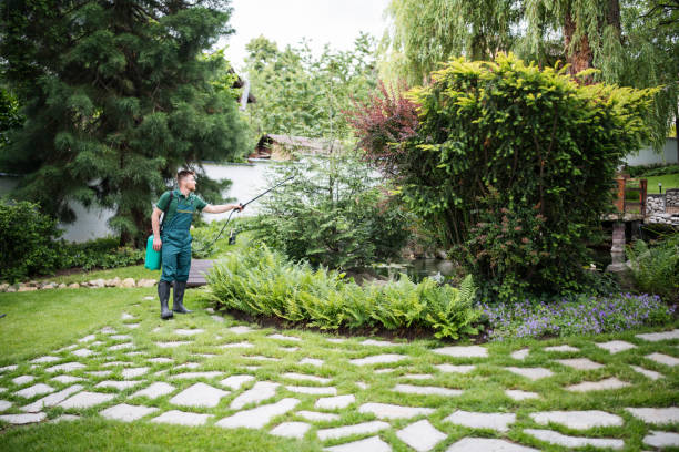 Best Organic Lawn Care Solutions  in Salado, TX